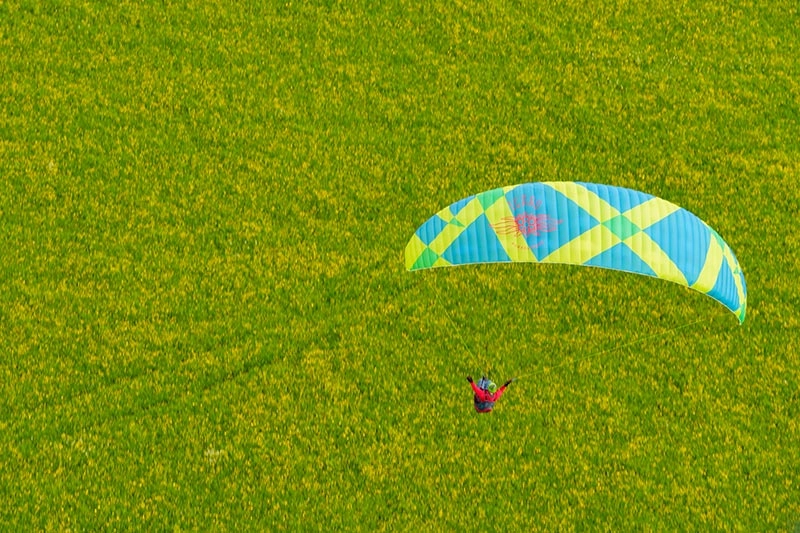 Параплан Nikita-5 (Icaro Paragliders)