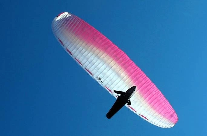 Параплан WILDCAT TE (Icaro Paragliders)