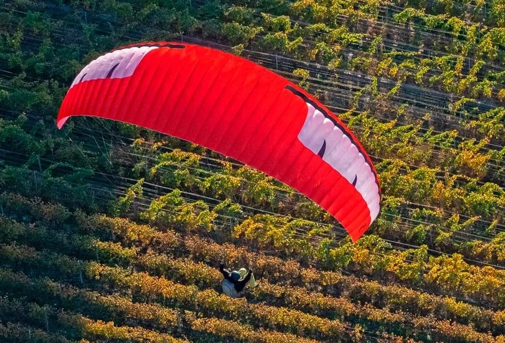 Параплан Niviuk Koyot-4 P