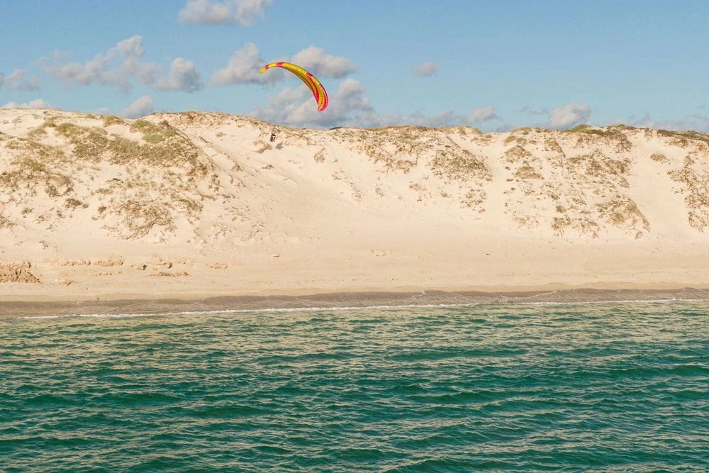 Параплан Pica-2 (Icaro Paragliders)