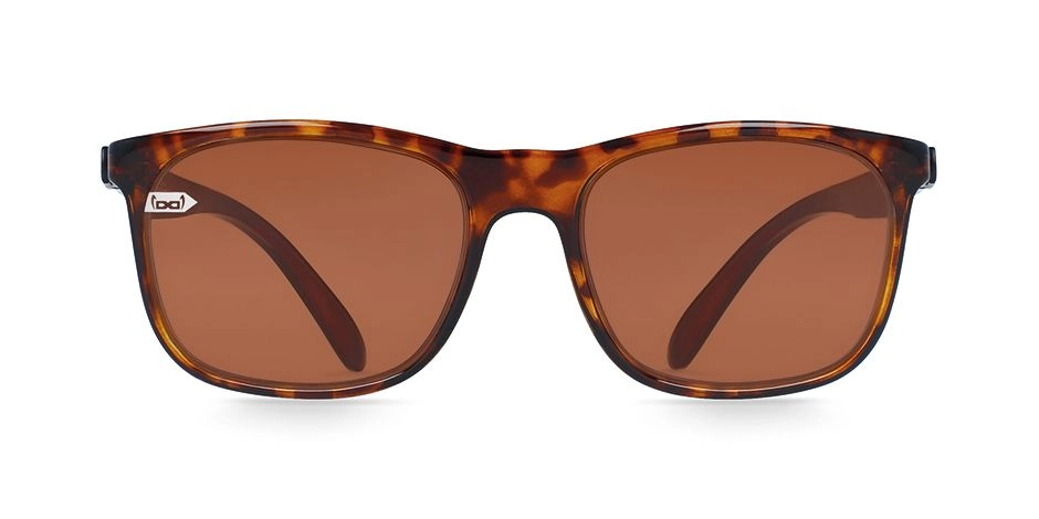 Очки Gi22 Amadeus Sun Havanna